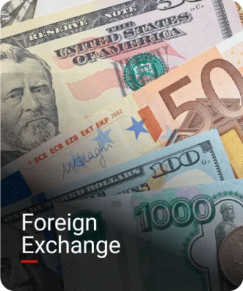 Foreign-Exchange display image